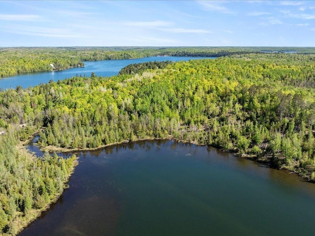 TBD-A Ladyslipper Lane, Grand Rapids, MN 55744