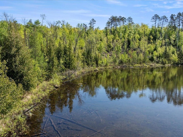 TBD-A Ladyslipper Lane, Grand Rapids, MN 55744