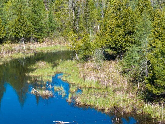 TBD-A Ladyslipper Lane, Grand Rapids, MN 55744