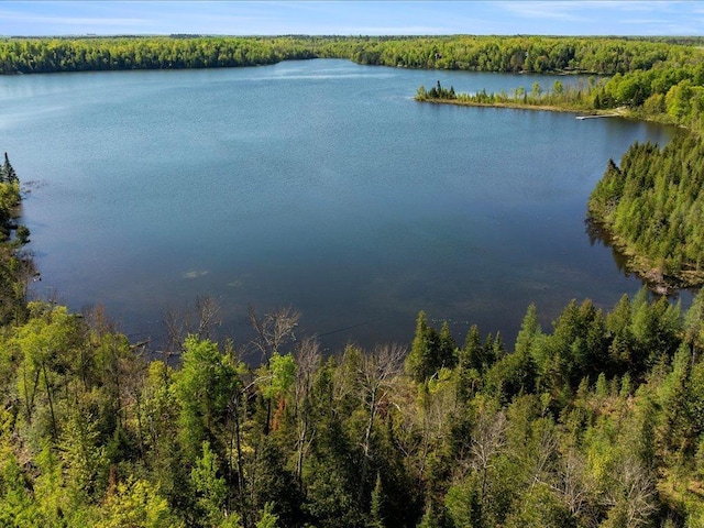 TBD-A Ladyslipper Lane, Grand Rapids, MN 55744