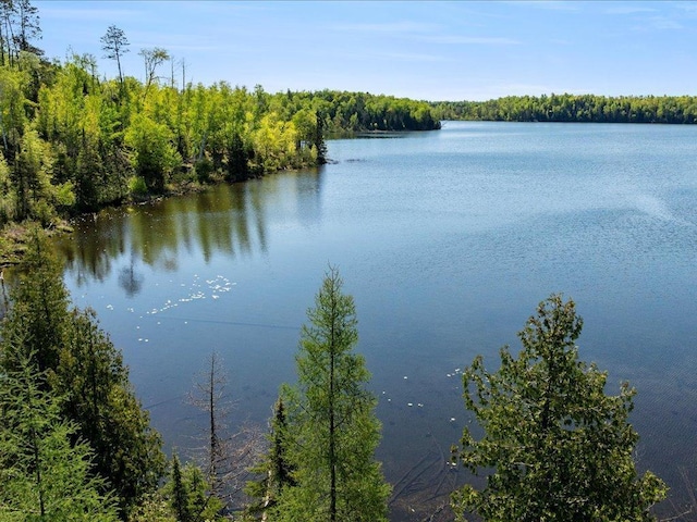 TBD-A Ladyslipper Lane, Grand Rapids, MN 55744
