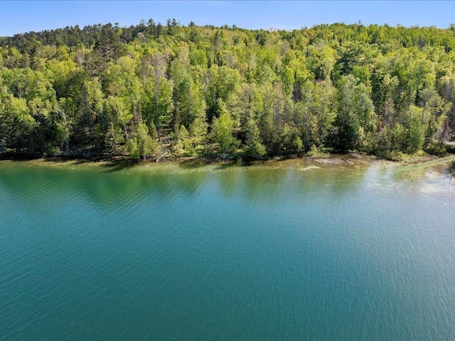TBD-C Ladyslipper Lane, Grand Rapids, MN 55744
