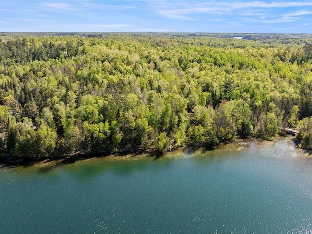 TBD-C Ladyslipper Lane, Grand Rapids, MN 55744