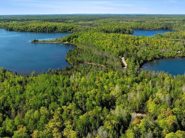 TBD-C Ladyslipper Lane, Grand Rapids, MN 55744