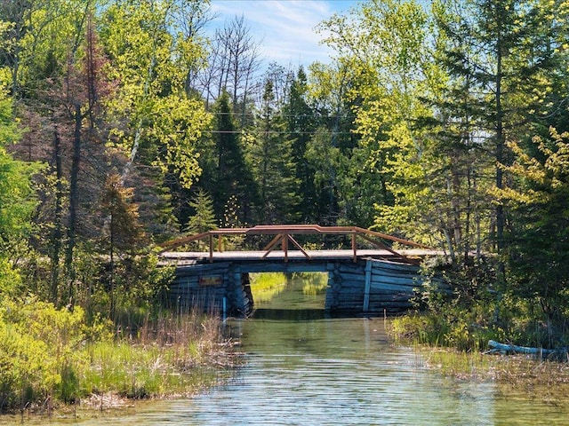 TBD-C Ladyslipper Lane, Grand Rapids, MN 55744