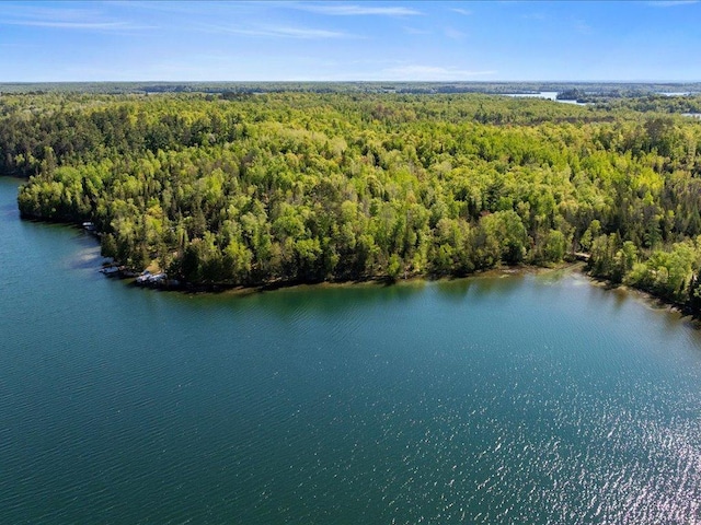 TBD-C Ladyslipper Lane, Grand Rapids, MN 55744