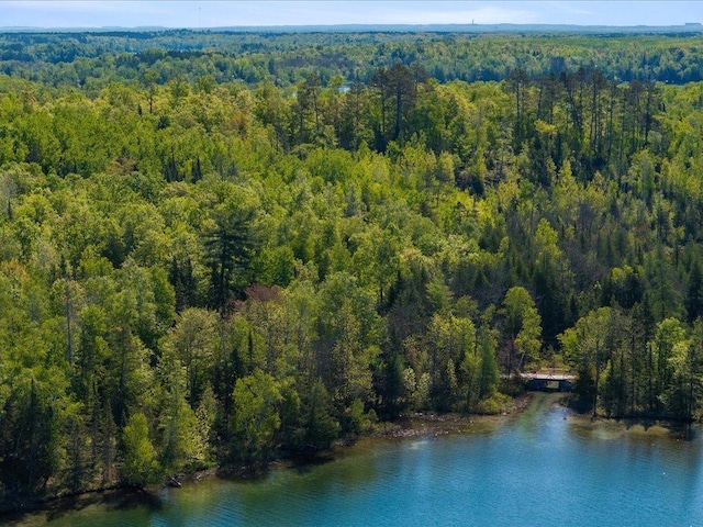 TBD-C Ladyslipper Lane, Grand Rapids, MN 55744
