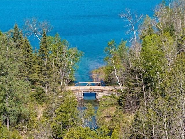 TBD-C Ladyslipper Lane, Grand Rapids, MN 55744
