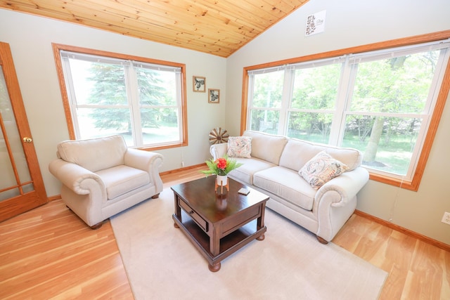 3035 County Road 4 SW, Alexandria, MN 56308 - photo 6