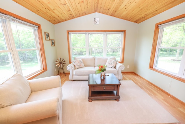 3035 County Road 4 SW, Alexandria, MN 56308 - photo 7
