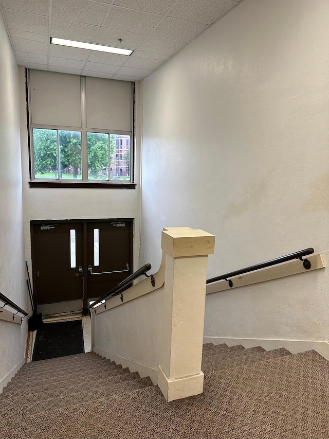 109 Luverne St Unit 220, Luverne, MN 56156 - stairs featuring carpet floors and baseboards