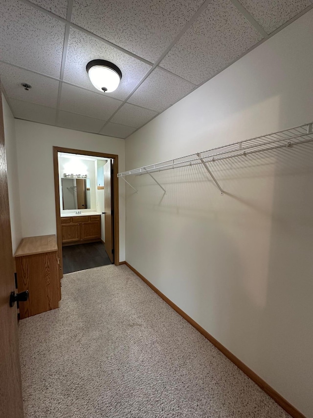 109 Luverne St Unit 220, Luverne, MN 56156 - spacious closet with a paneled ceiling and carpet flooring