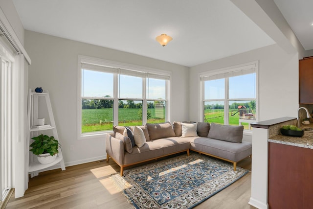 1721 Pebblestone Rd, Carver, MN 55315 - living room featuring light wood-style floors and baseboards