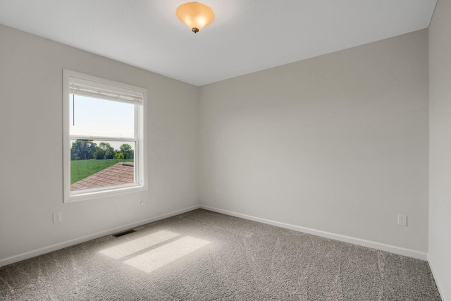 1721 Pebblestone Rd, Carver, MN 55315 - spare room featuring carpet and baseboards