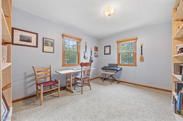 20482 28th Ave N, Cromwell Twp, MN 56549 - office space with light colored carpet, baseboards, and a textured ceiling