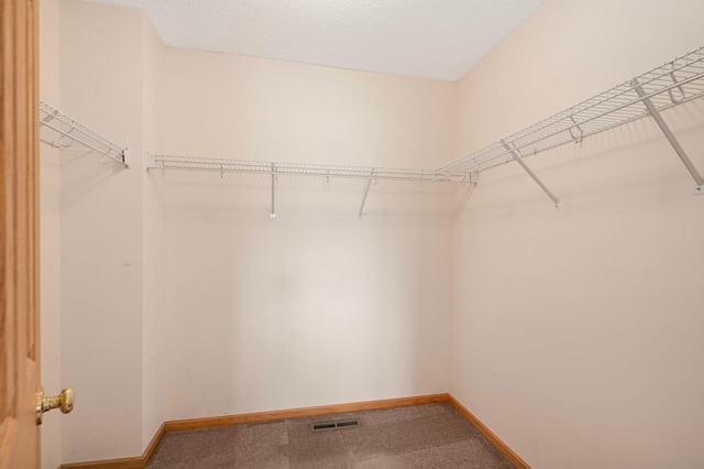 547 Woodduck Dr Unit G, Woodbury, MN 55125 - walk in closet featuring carpet flooring