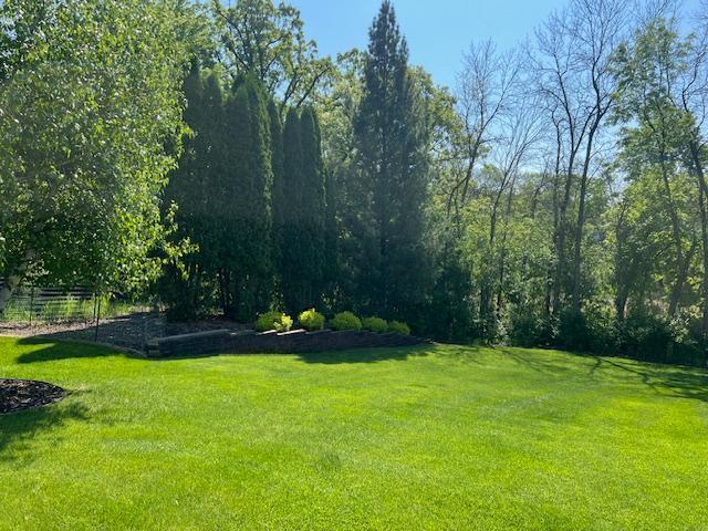 6730 210th Ct N, Forest Lake, MN 55025 - view of green lawn