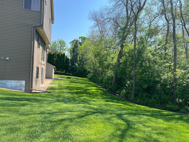 6730 210th Ct N, Forest Lake, MN 55025 - view of grassy yard