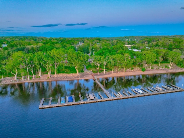 120 Eastbank Ct N, North Hudson, WI 54016 - drone / aerial view of a nearby body of water and a forest