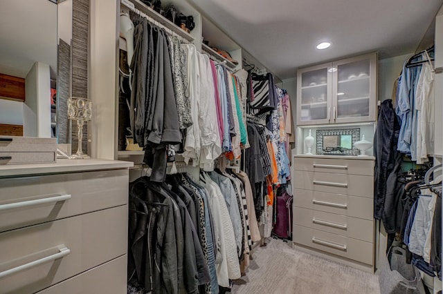 120 Eastbank Ct N, North Hudson, WI 54016 - spacious closet featuring light colored carpet