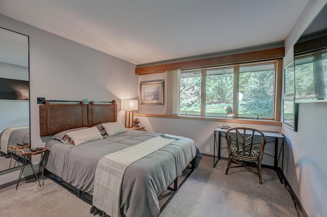 120 Eastbank Ct N, North Hudson, WI 54016 - carpeted bedroom featuring multiple windows and baseboards