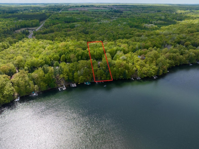 W2847 County Highway B, Madge Twp, WI 54870 - view of property location featuring a forest, a large body of water, and property parcel outlined