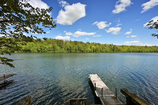 W2847 County Highway B, Madge Twp, WI 54870 - dock featuring a water view and a forest view