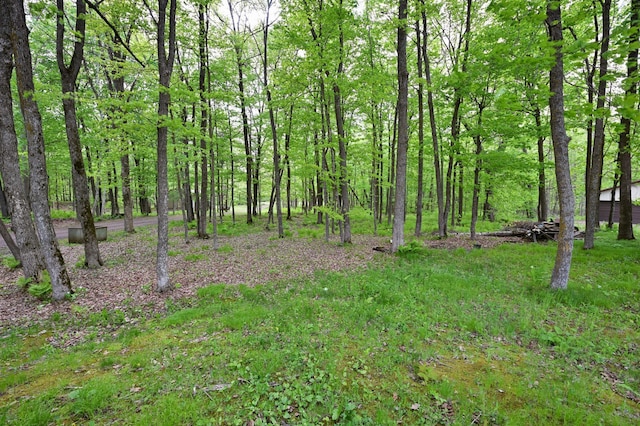 W2847 County Highway B, Madge Twp, WI 54870 - view of local wilderness