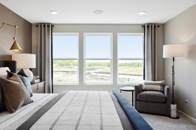 10383 Glacier Ln N, Maple Grove, MN 55369 - carpeted bedroom with baseboards and recessed lighting