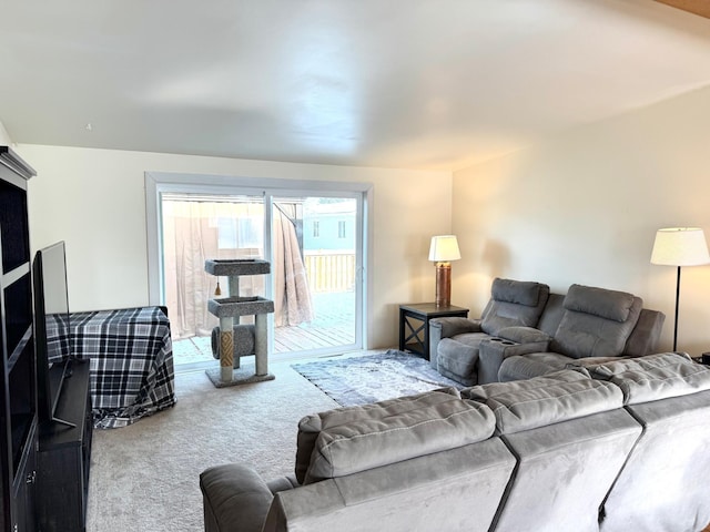 103 8th St SW, Roseau, MN 56751 - living area with carpet floors