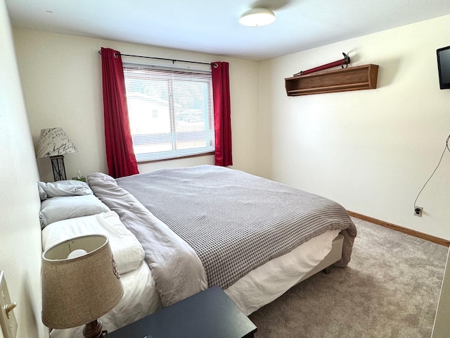 103 8th St SW, Roseau, MN 56751 - bedroom with carpet floors and baseboards