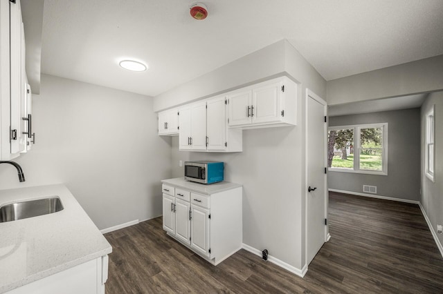 825 Elm Creek Cir, Champlin, MN 55316 - kitchen with a sink, stainless steel microwave, dark wood-type flooring, and baseboards