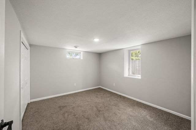 825 Elm Creek Cir, Champlin, MN 55316 - below grade area with a textured ceiling, carpet floors, baseboards, and plenty of natural light
