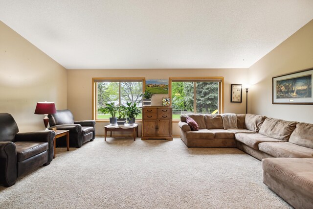 2031 Rose Creek Dr S, Fargo, ND 58104 - living area featuring carpet and lofted ceiling