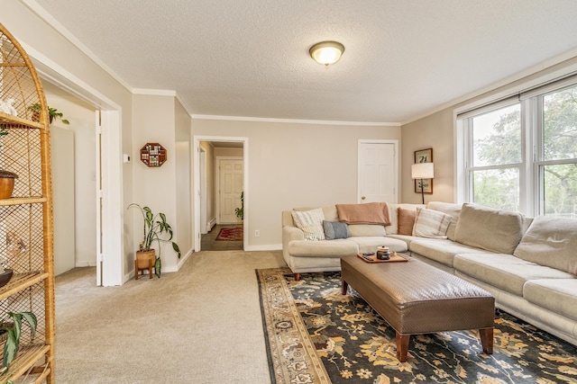 1491 Wynne Ave, Saint Paul, MN 55108 - living room featuring light colored carpet, a textured ceiling, crown molding, and baseboards