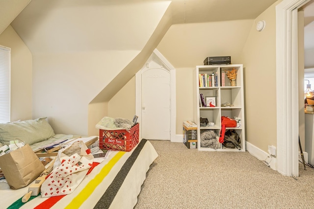 1491 Wynne Ave, Saint Paul, MN 55108 - bedroom with carpet floors