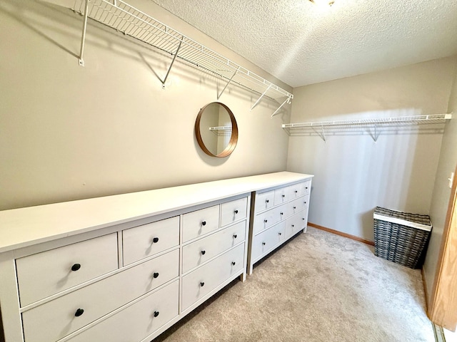 10809 Tyler Ct NE, Blaine, MN 55434 - spacious closet with light carpet