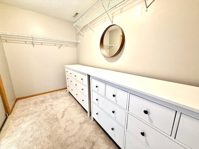 10809 Tyler Ct NE, Blaine, MN 55434 - spacious closet with light carpet