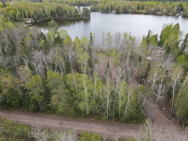 TBD Briar Lake Dr, North Star Twp, MN 55803
