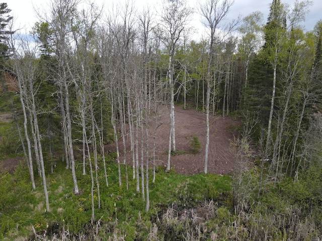 TBD Briar Lake Dr, North Star Twp, MN 55803