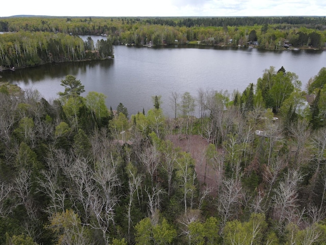 TBD Briar Lake Dr, North Star Twp, MN 55803