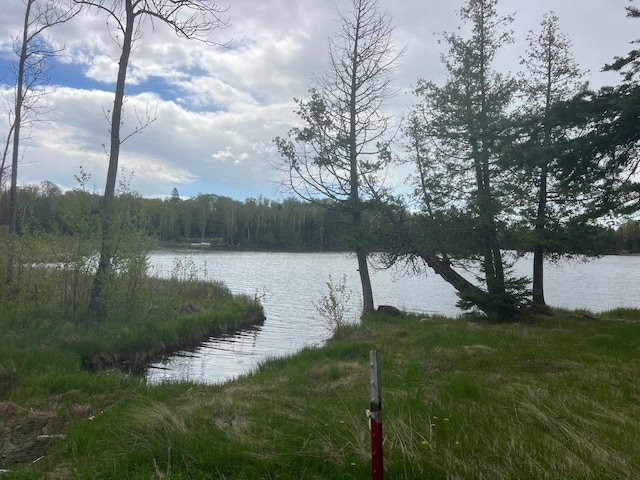 TBD Briar Lake Dr, North Star Twp, MN 55803