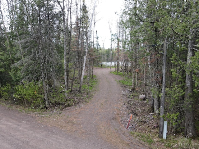 TBD Briar Lake Dr, North Star Twp, MN 55803