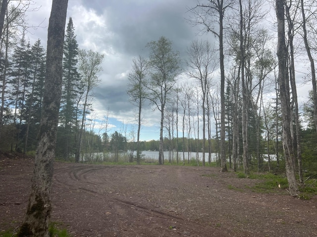 TBD Briar Lake Dr, North Star Twp, MN 55803