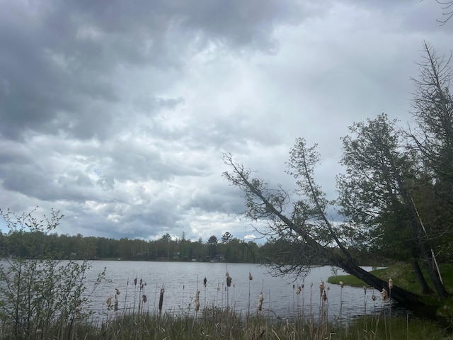 TBD Briar Lake Dr, North Star Twp, MN 55803