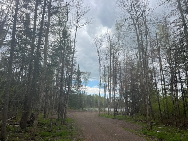 TBD Briar Lake Dr, North Star Twp, MN 55803