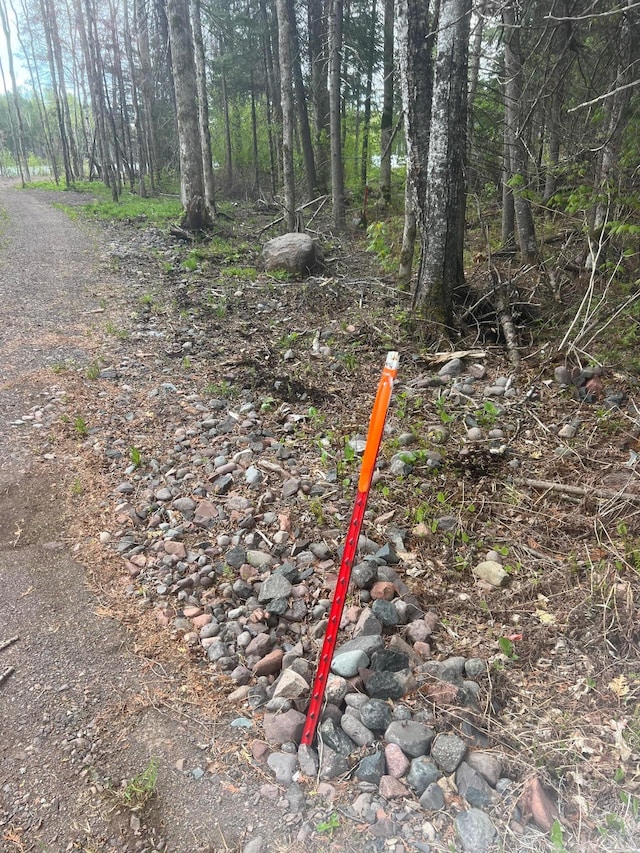 TBD Briar Lake Dr, North Star Twp, MN 55803