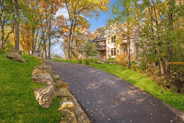 4266 Manor Court Rd, Minnetonka, MN 55345 - view of asphalt driveway