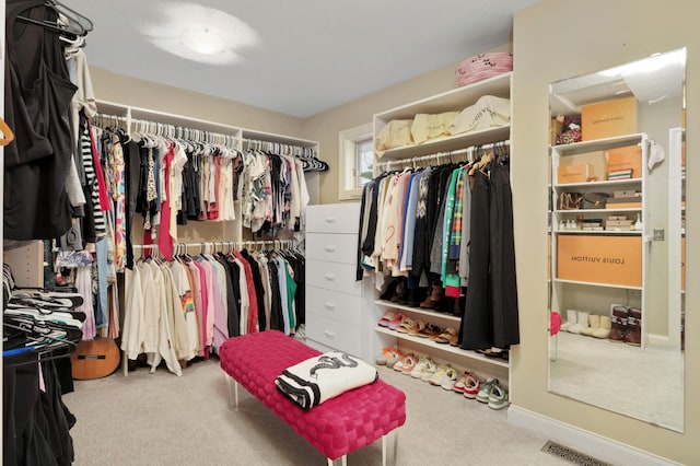 4266 Manor Court Rd, Minnetonka, MN 55345 - spacious closet featuring carpet