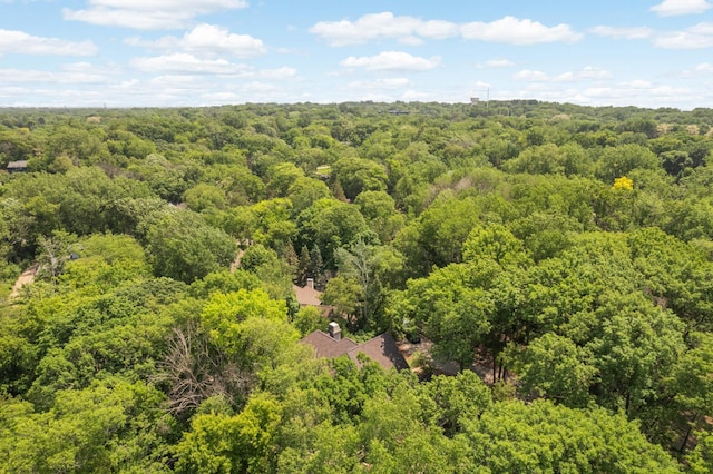 4266 Manor Court Rd, Minnetonka, MN 55345 - photo 78